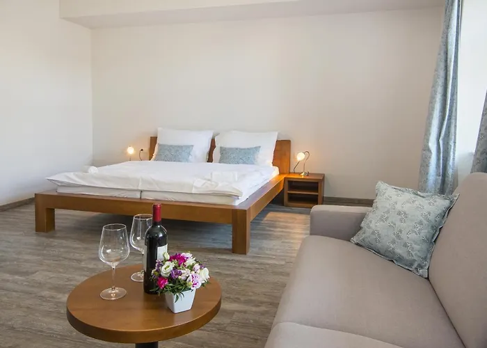 Отель Anno Нове-Место-над-Метуйи